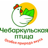 Чебаркульская птица
