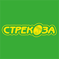 Магазин Стрекоза Пермь